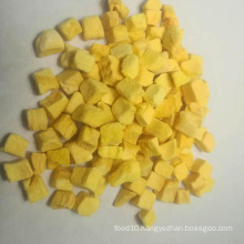 Hot sale FD freeze dried mango fruit crispy